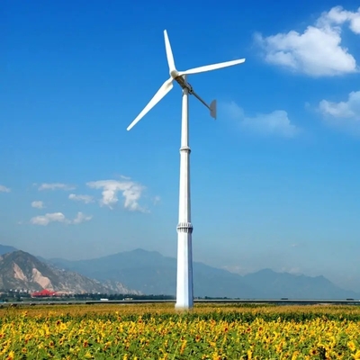 Płyty fotowoltaiczne 380VAC System energetyki wiatrowej 3 fazy magnes stały AC