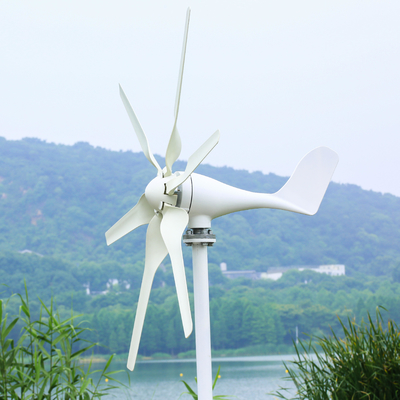 3KW Dostosowalna turbina wiatrowa dla gospodarstw domowych System hybrydowy energii słonecznej dla domu